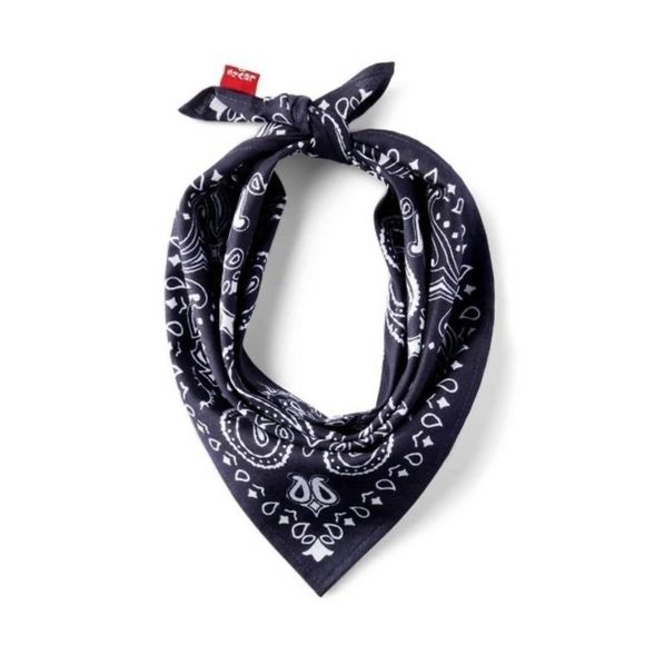 18"x18" Pet Bandana - Picture 1 of 3